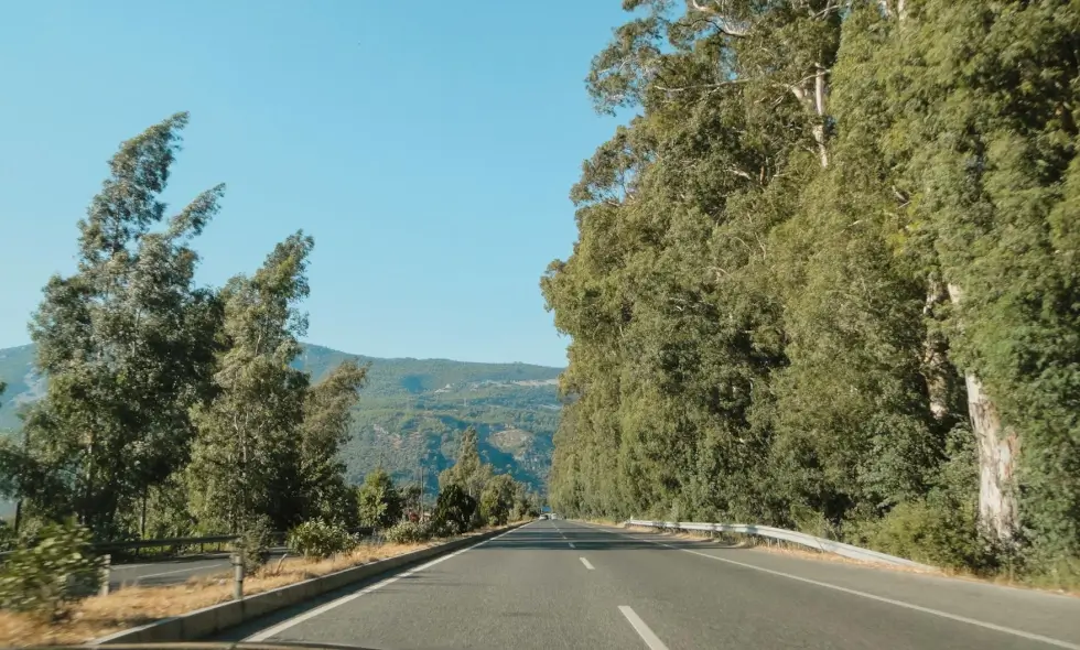 Autostrade della Slovenia e informazioni sull'acquisto della vignetta per il 2025